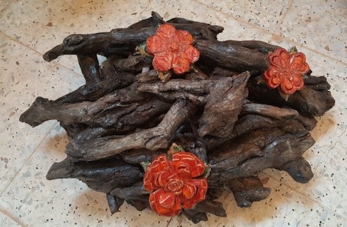 Centro de raices del pantano con flores rojas