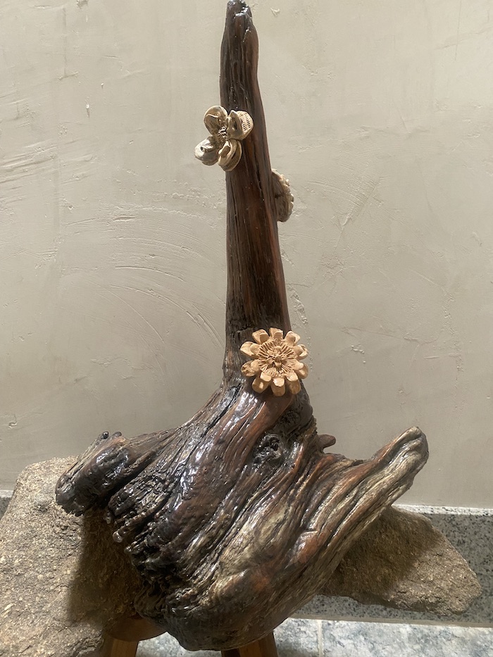 Centro creado para Juan